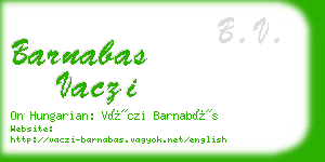 barnabas vaczi business card